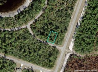 Fisher Loop Run #20, Ocklawaha, FL 32179