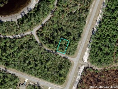 Fisher Loop Run #20, Ocklawaha, FL, 32179