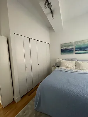 Rented by NY Living Solutions | media 27