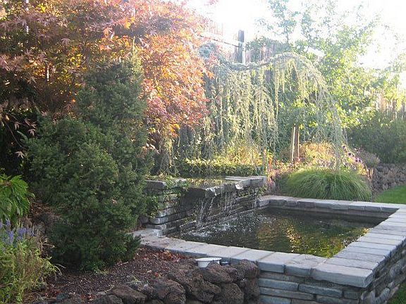 Koi Pond & Waterfall