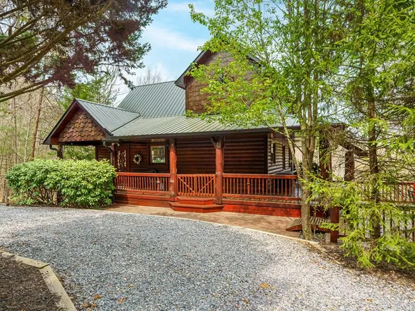 133 Dallas Ln, Blue Ridge, GA 30513