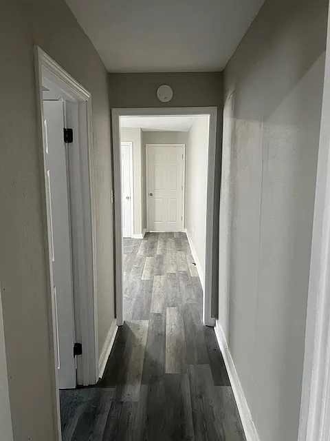 1 bed, $800 — Photo 4