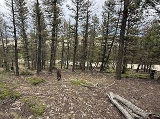 2689 Redhill Rd, Fairplay, CO 80440