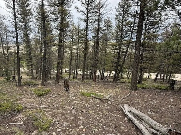 2689 Redhill Road, Frisco, CO 80440