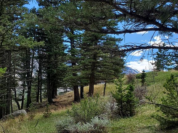 LOT 116 Forest Trl, Nye, MT 59061 | MLS #362402 | Zillow