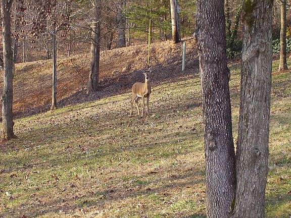 View from side window