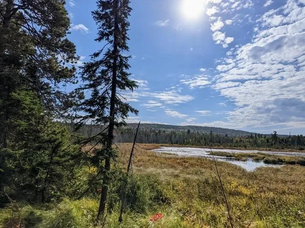 Eliza Creek Ln, Mohawk, MI 49950