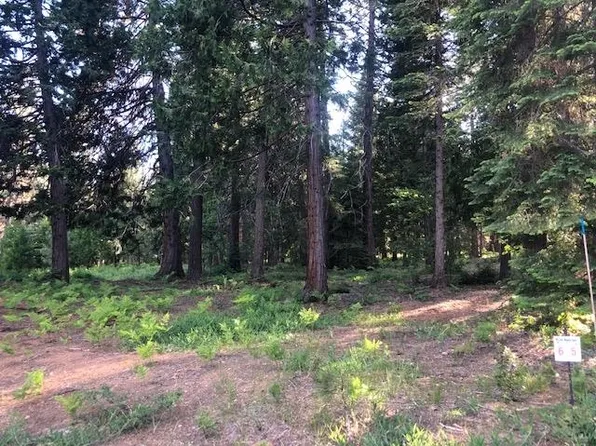 6 Old Mill Dr, McCloud, CA 96057