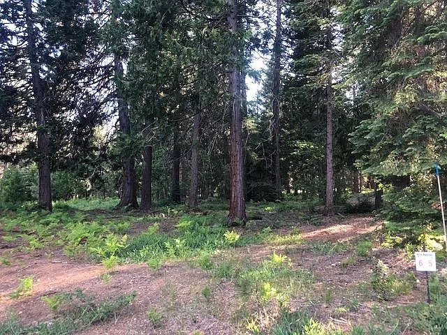 6 Old Mill Dr photo 1