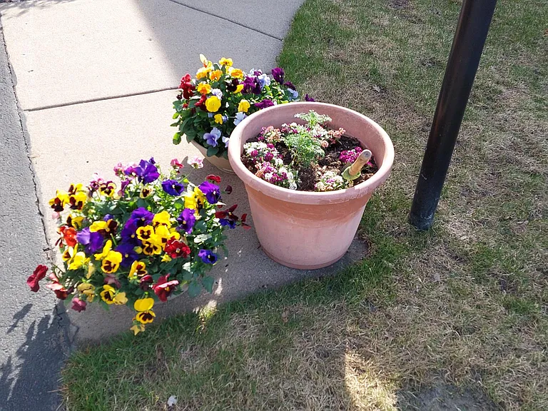 2550 Moundsview Dr #GARDEN LEVEL — Photo 9