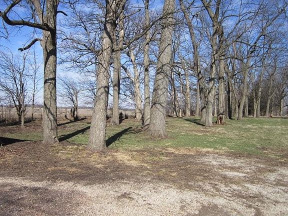 Beautiful walnut grove. This is breathtaking in the spring.