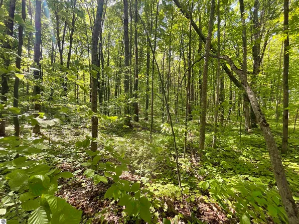 7630 Starvation Lake Rd NE, Mancelona, MI 49659