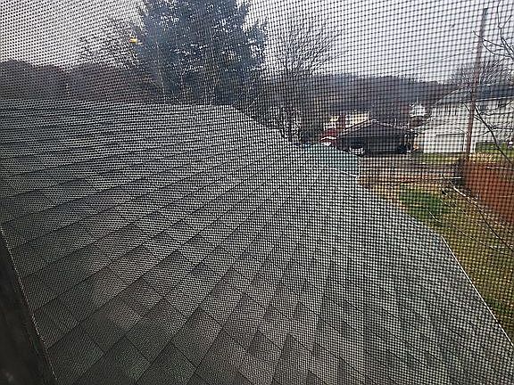 Newer roof