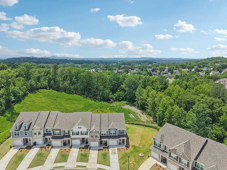 Aerial shot of the community