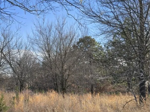 Texanna Rd, Eufaula, OK 74432