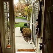 2nd image of 38 Donegal Way
