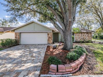 1610 Sanderling Ct, Brandon, FL, 33511