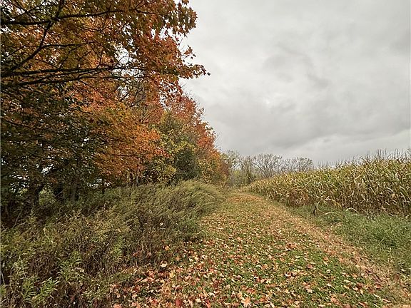 3rd image of 0 Poplar Hill Rd Lot 2