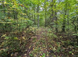 0 Bell Hill Rd, Lindley, NY 14858