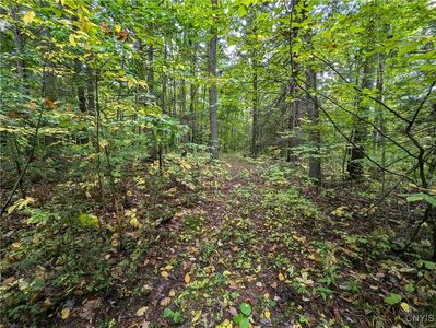 0 Bell Hill Rd, Lindley, NY, 14858
