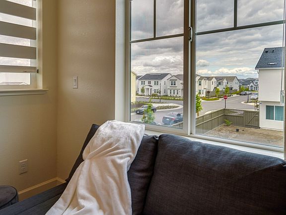 Window View
