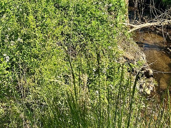 2nd image of 0 Tomotla Rd