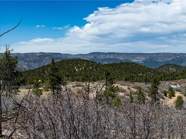 100 Cottonwood Dr, Cotopaxi, CO 81223