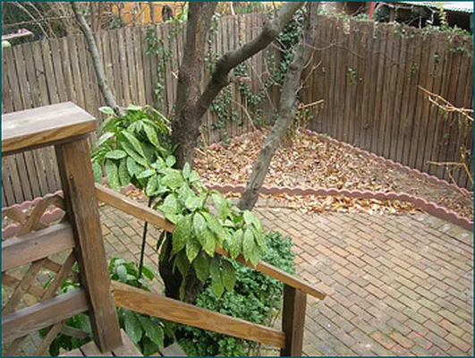 Rented by Brown Harris Stevens | media 13