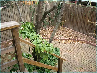 Rented by Brown Harris Stevens