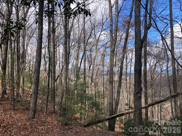 Bobcat Mountain Rd #21, Purlear, NC 28665
