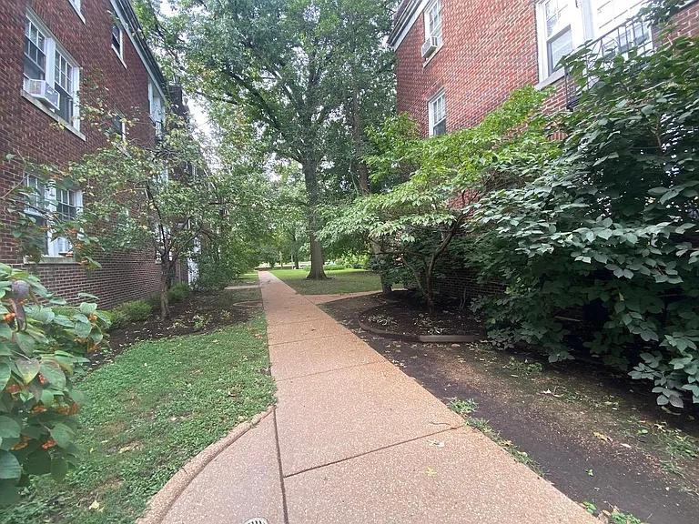 View from courtyard. Across the street is Tower Grove Park.