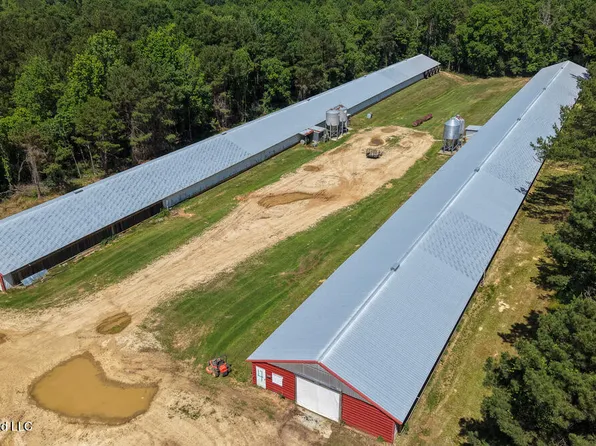 Smithtown Chicora Rd, State Line, MS 39362