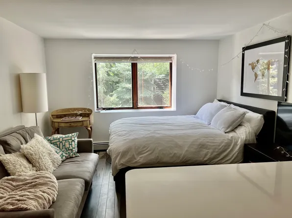 119 E Cooper Ave, Aspen, CO