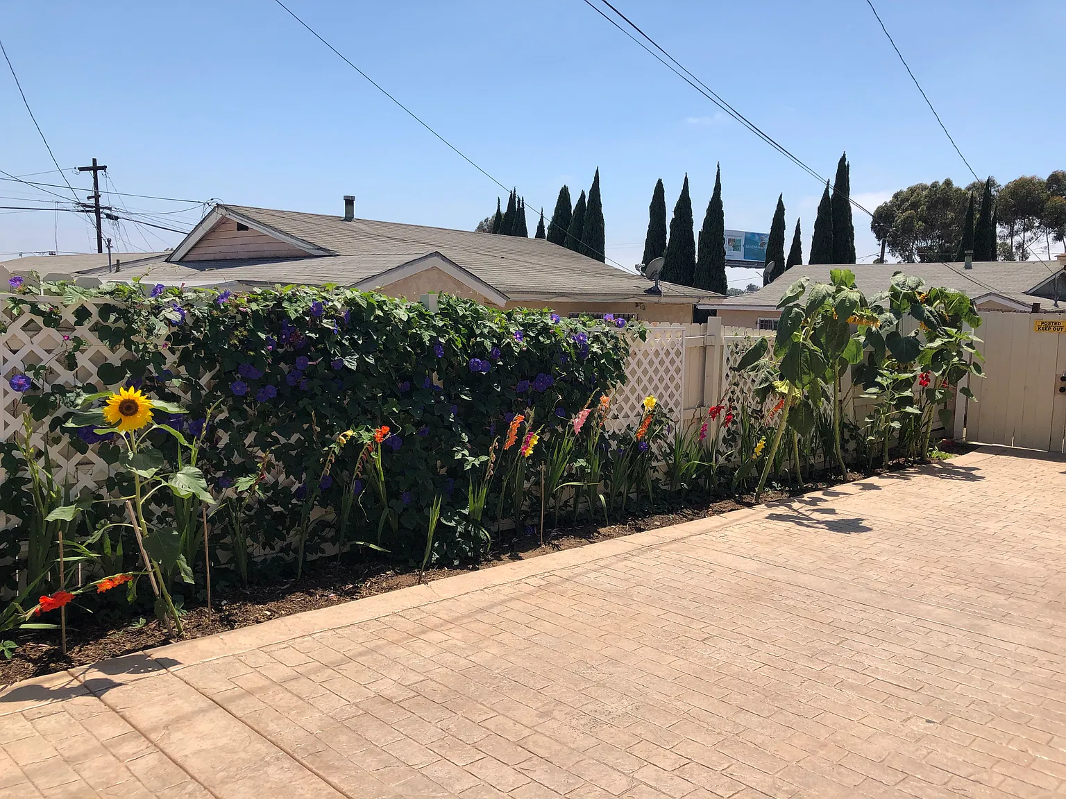 Studio, 6000 sqft, $2,000 — Photo 2