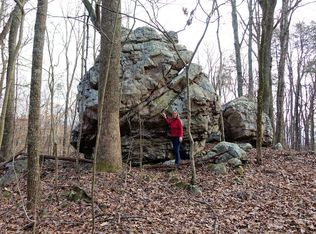 185 Boulder Dr #DELL, Dunlap, TN 37327