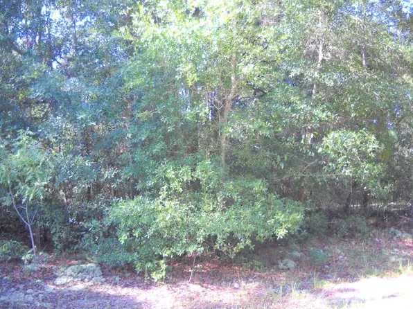 8718 W Faust Ln, Homosassa, FL 34448