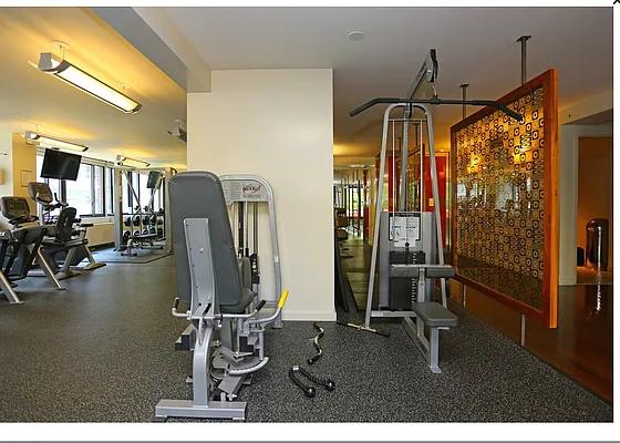 Rented by Gotham Organization | media 29