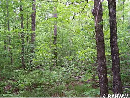 4th image of Lot 66 N Lake Winter Road