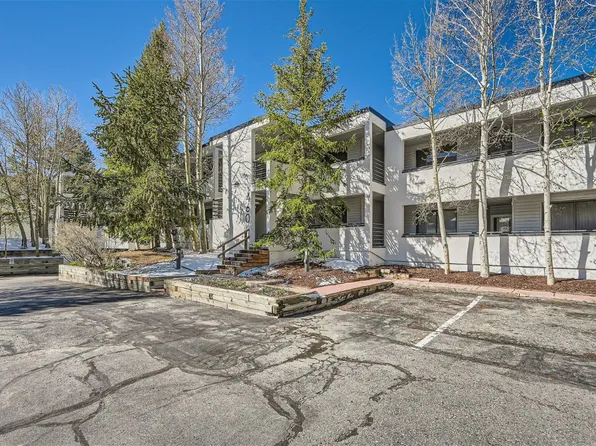 460 Tenderfoot St #111, Dillon, CO 80435