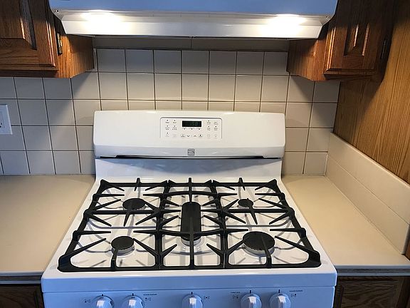 Convection Oven and Stovetop