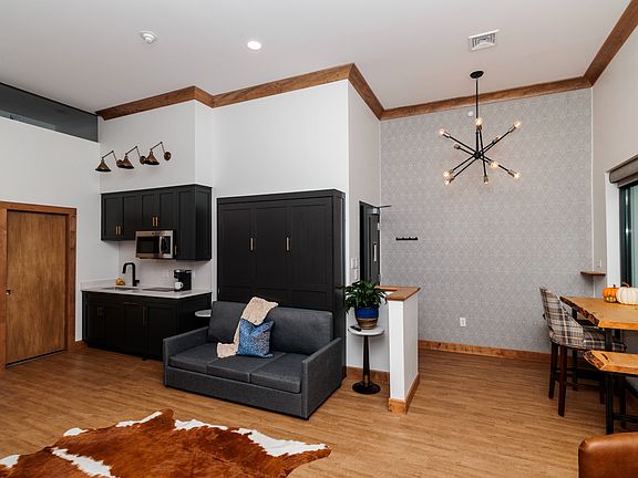 Murphy Bed/Sofa Combo