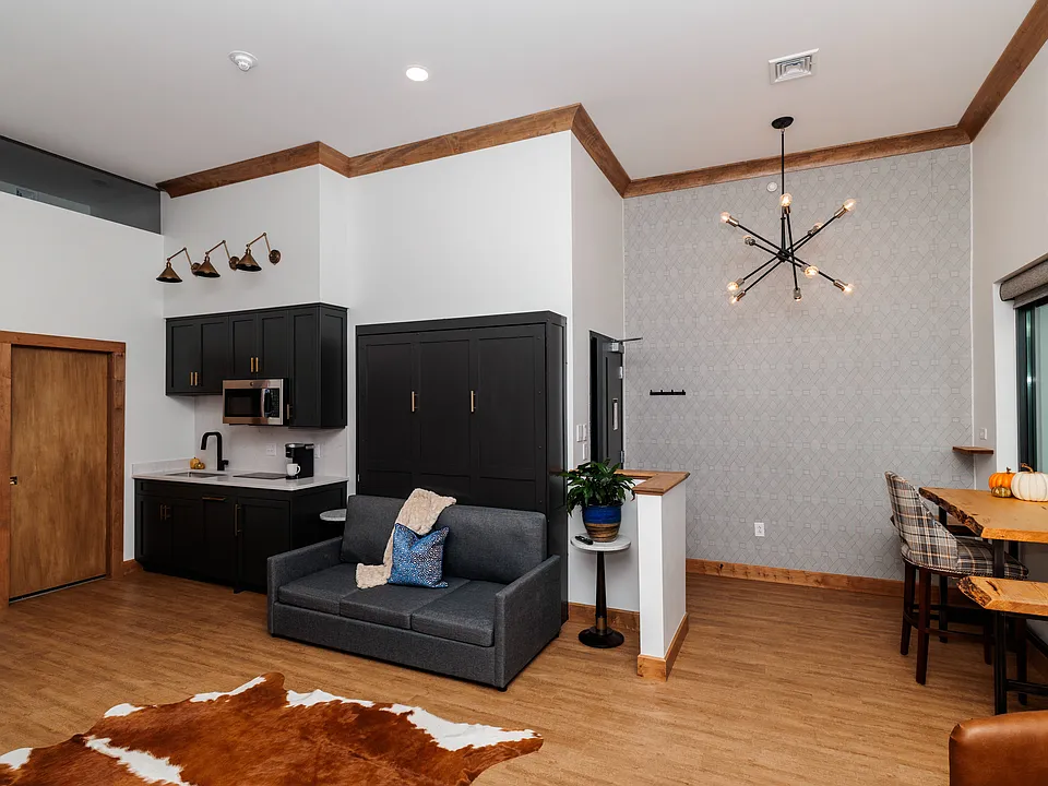 Murphy Bed/Sofa Combo