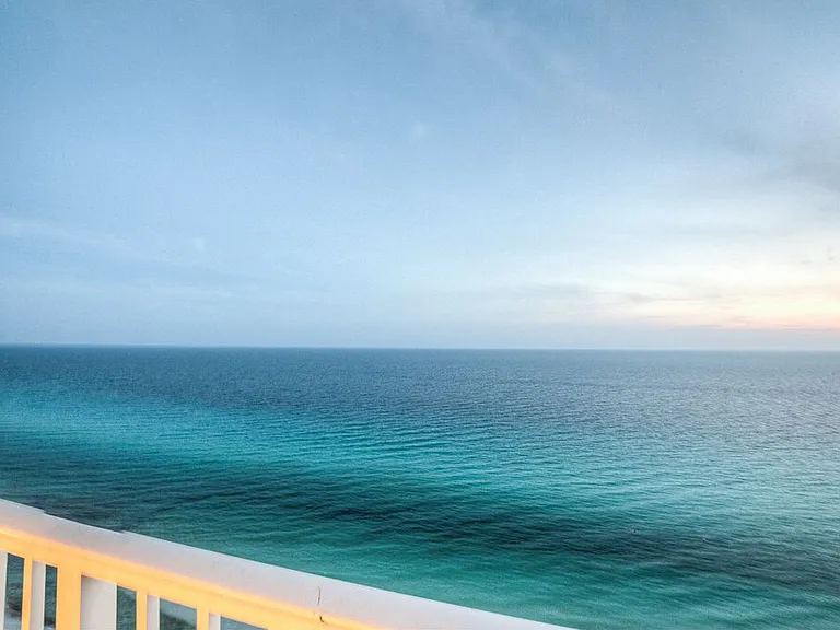 Window View