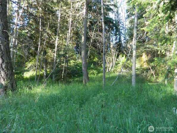 0 TBD Lake View Drive, Oroville, WA 98844