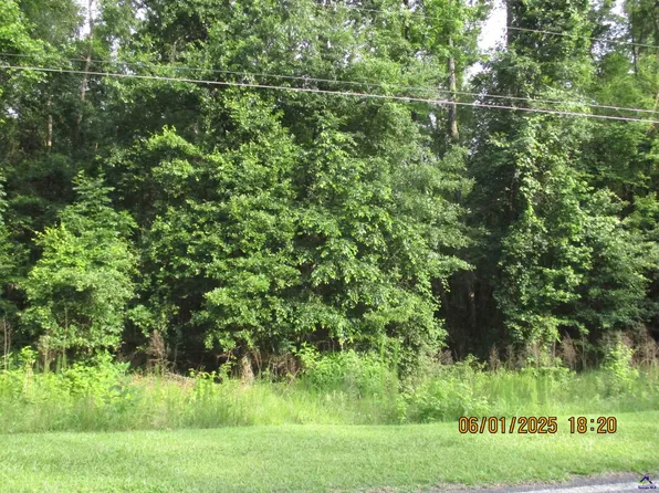 318 Graystone Pointe Dr, Macon, GA 31211