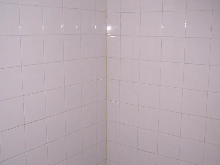 41 Lafayette Ave #4 — Photo 10