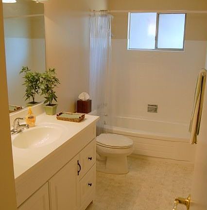 Remodeled modern bath