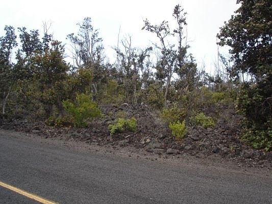 2nd image of Poinciana Dr Lot 6