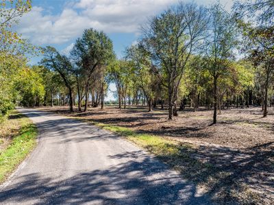County Road 1195, Yantis, TX, 75497