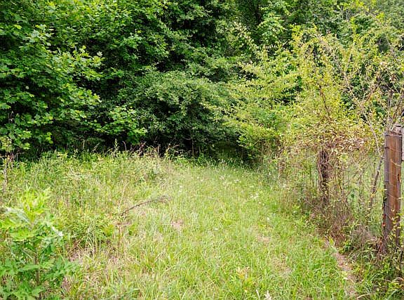 4th image of 29 Hidden Forest Ln